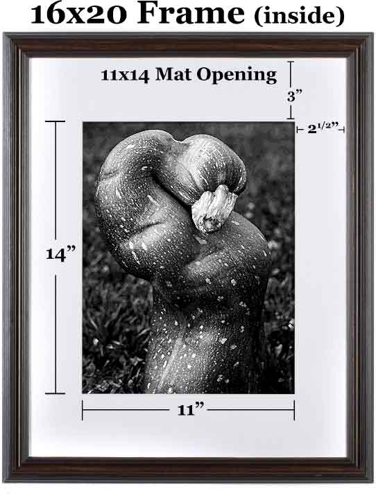 picture frame sizes of 16x20mattedto11x14